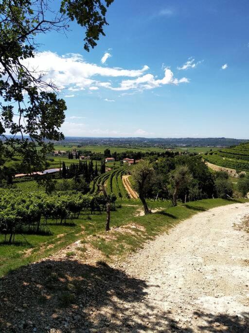 Giardino Del Borgo Appartamento Valpolicella SantʼAmbrogio di Valpolicella 外观 照片