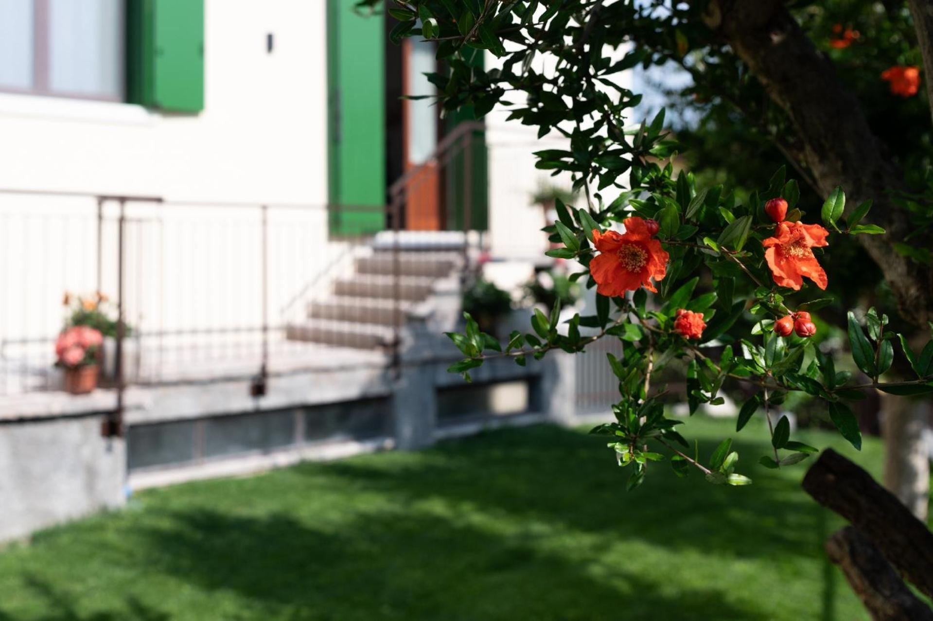 Giardino Del Borgo Appartamento Valpolicella SantʼAmbrogio di Valpolicella 外观 照片